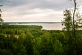 A beautiful Finnish forest landscape Royalty Free Stock Photo