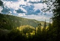 A beautiful Finnish forest landscape Royalty Free Stock Photo