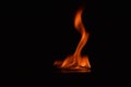 Beautiful fire flames on black background Royalty Free Stock Photo