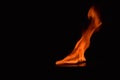 Beautiful fire flames on black background Royalty Free Stock Photo