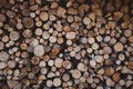 Beautiful firewood pile Royalty Free Stock Photo