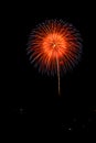 Lighten blossom firework . Royalty Free Stock Photo