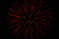 Beautiful firework on night sky background