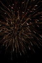 Beautiful firework on night sky background, colorful fireworks broken light over head on black of dark, happy new year or Royalty Free Stock Photo