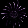 Beautiful firework with sparks at night sky. Vector illustration