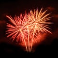 Beautiful fireworks in celebrate day isolate on black background Royalty Free Stock Photo