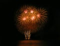 Beautiful fireworks display on evening black sky. In red and golden color holiday background Royalty Free Stock Photo