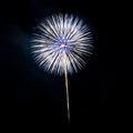 Beautiful fireworks display. Royalty Free Stock Photo