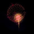 Beautiful fireworks display. Royalty Free Stock Photo