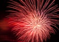 Beautiful fireworks in night sky for New Year Royalty Free Stock Photo