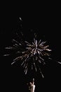 Beautiful fireworks popping apart photographed with a vintage lens in a black night Royalty Free Stock Photo