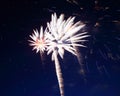 Beautiful fireworks show Royalty Free Stock Photo