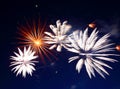 Beautiful fireworks show Royalty Free Stock Photo