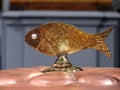 Beautiful fish in church, Lithuania