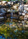 Beautiful Fish Pond at a Wildflower Garden on Top of Mill Mountain