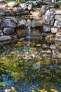 Beautiful Fish Pond at a Wildflower Garden on Top of Mill Mountain