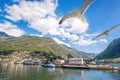 Beautiful fishing village Undredal close the fjord with seagulls near the Flam in Norway Royalty Free Stock Photo
