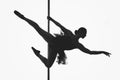 Beautiful pole dancer girl silhouette Royalty Free Stock Photo