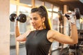 Beautiful fitness woman lifting dumbbells Royalty Free Stock Photo