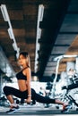 Beautiful fitness woman lifting dumbbells . Fitness sporty girl exercising in gym Royalty Free Stock Photo