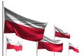 Beautiful five flags of Poland are waving isolated on white - any celebration flag 3d illustration