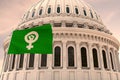 Beautiful flag of FEMINIST FEMINISMABORTIONS waving with the strong wind and behind it the dome of the Capitol USA Roe v. Wade 3D
