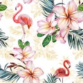 Beautiful flamingo and plumeria flowers on white background. Exotic tropical seamless pattern. Watecolor painting.