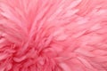Beautiful flamingos feathers background in pastel pink and purple colors. Closeup vertical image of colorful fluffy feather.