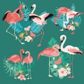 Beautiful flamingos with tropical palm leaves set