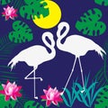 Beautiful flamingos. Tropical plants. Dark background