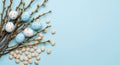 Spring Easter Composition with Speckled Eggs and Pussy Willow Branches Royalty Free Stock Photo