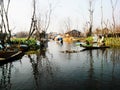 Beautiful floating market at dal lake , Srinagar , Kashmir , Incredible India Royalty Free Stock Photo