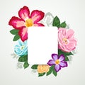 Beautiful flora with white paper card isolated