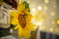 Beautiful floral arrangement or decoration for wedding or event. Sunflower Wedding Table centepiece/ summer colors. Royalty Free Stock Photo