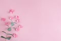 Beautiful floral arrangement with pink rose petals and green eucalyptus branch on pastel pink background Royalty Free Stock Photo