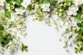 Beautiful floral background frame with mock orange branches with small white flowers and green leaves on neutral pastel background