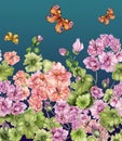 Beautiful floral background with pelargonium flowers and butterflies. Seamless botanical pattern, border. Watercolor painting.