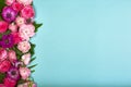 Beautiful floral background, texture, wallpaper. Flat-lay of pink flowers on blue background, top view, copy space Royalty Free Stock Photo