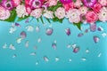 Beautiful floral background, texture, wallpaper. Flat-lay of pink flowers on blue background, top view, copy space Royalty Free Stock Photo