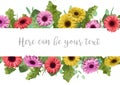 Beautiful floral banner frame with multi-colored gerbera and eucalyptus leaves isolated on white background Horizontal vector Royalty Free Stock Photo