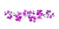 Beautiful floral border with purple bougainvillea. Branch with exotic flowers and leaves isolated on white background. Hand drawn Royalty Free Stock Photo