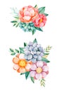 Beautiful floral collection with peony,flowers,leaves,flowers,branches,succulent and more.