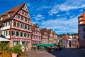 Beautiful floral colorful town Tubingen in Germany Baden-Wurttemberg. Houses at river Neckar and Hoelderlin tower, Tuebingen,