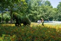 Beautiful floral decoration in Bois-de-Coulonge park, Mosaiculture Quebec. Quebec City, Canada.