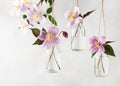 Beautiful floral decoration in the form of mini-vases and bouquets of pink clematis flowers hanging from the light wall.