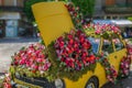 Beautiful floral decoration of an old car in Timisoara, Romania Royalty Free Stock Photo