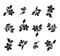 Plant Beautiful black and white floral motive design element flowers and leaves design element with imitation guipure embroidery. Royalty Free Stock Photo