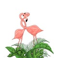 Beautiful floral exotic vector illustration with pink flamingo, tropical leaves.