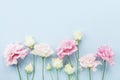 Beautiful floral frame of pastel flowers on blue background top view. Flat lay style. Royalty Free Stock Photo