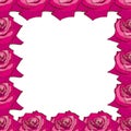 A beautiful floral frame of pink roses. Flower design for cards, banners, posters and so on. Botanical illustration. Royalty Free Stock Photo